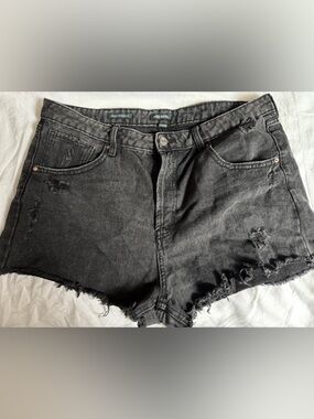 wild fable Black Denim Short with Green Label